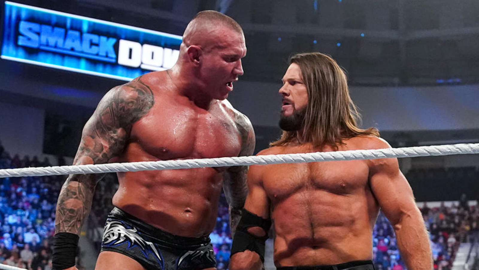 Inside the Ring: Unraveling the Bonds and Battles of WWE's Finest