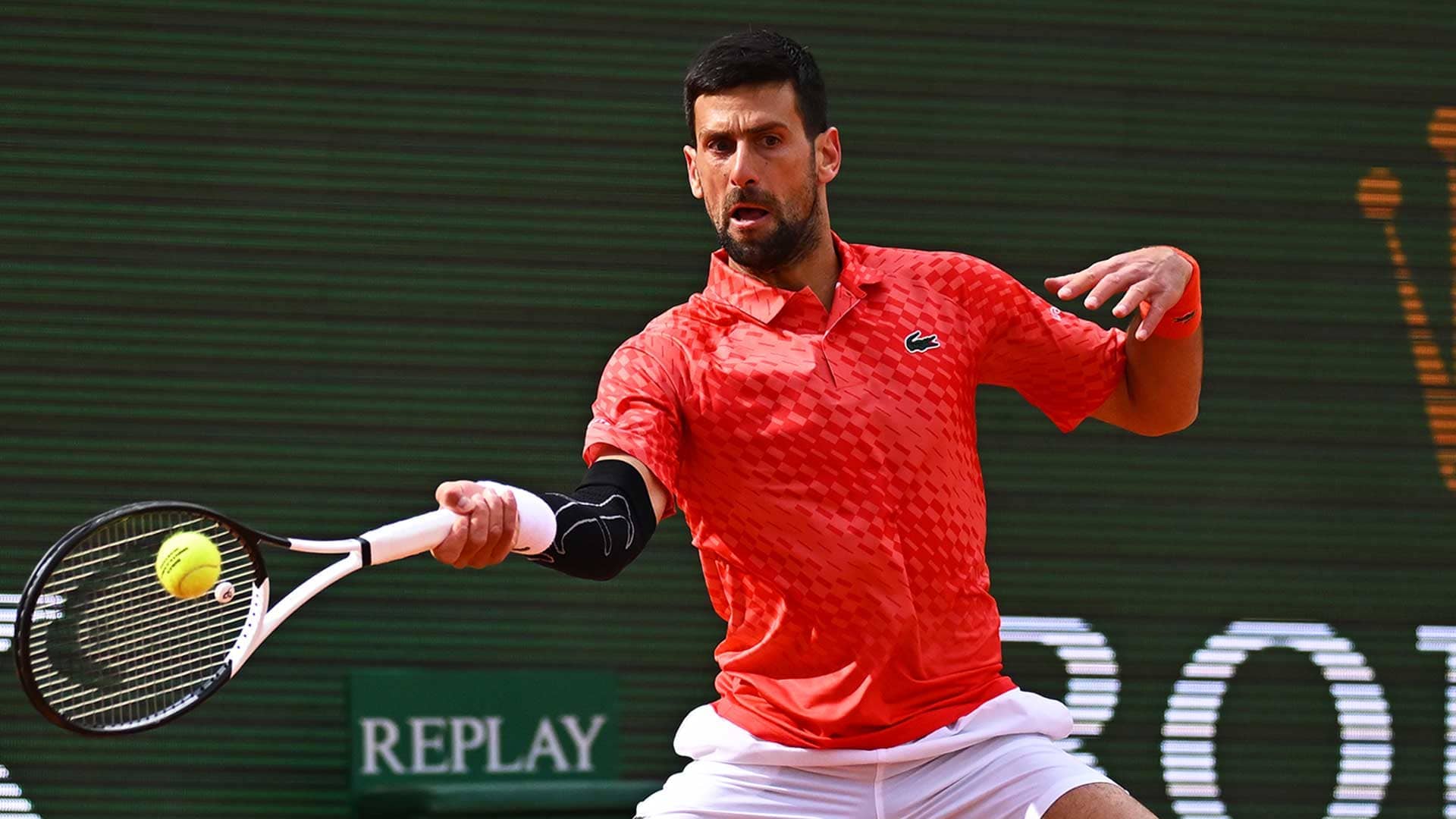 Novak Djokovic Confidently Sets His Sights on Monte-Carlo Masters Rematch Against Lorenzo Musetti