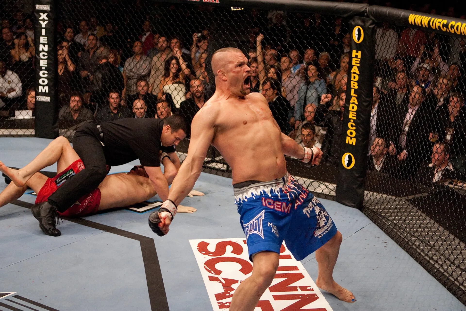 70+ Quotes from Chuck Liddell for MMA Fighters--