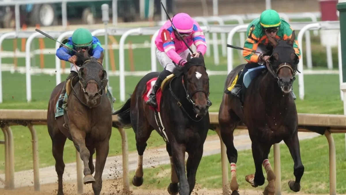 Surprising 2025 Kentucky Derby Picks: Expert Predictions and Longshot Horses to Watch