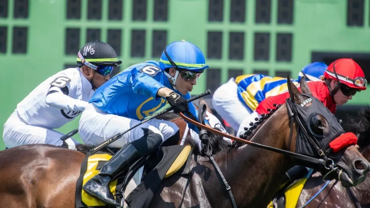 Surprising 2025 Kentucky Derby Picks: Expert Predictions and Longshot Horses to Watch